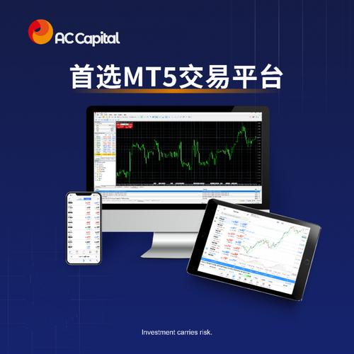 外汇平台开户哪家好_vt markets外汇平台_外汇平台正规查询